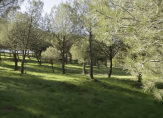 Cierre de parques en Móstoles desde el 1 de marzo Cierre de parques en Móstoles desde el 1 de marzo