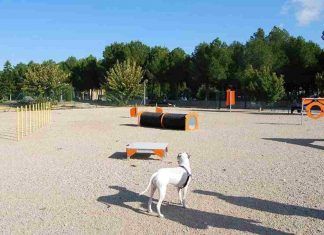 Más Madrid Ganar Móstoles propone parques de ocio canino Más Madrid Ganar Móstoles propone parques de ocio canino
