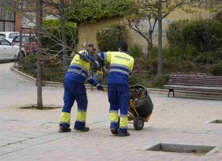 Móstoles plantará más de 1.700 árboles en 2022 Móstoles plantará más de 1.700 árboles en 2022
