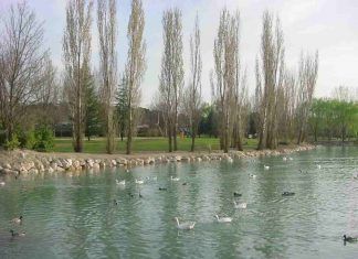 Móstoles cierra el Parque de El Soto Móstoles cierra el Parque de El Soto