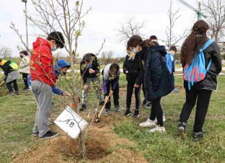 Los alumnos del CEIP Príncipe de Asturias de Móstoles plantan 400 árboles Los alumnos del CEIP Príncipe de Asturias de Móstoles plantan 400 árboles