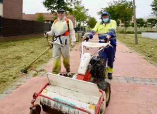 Desbroce, reparación y construcción de pista de fútbol en Móstoles Desbroce, reparación y construcción de pista de fútbol en Móstoles