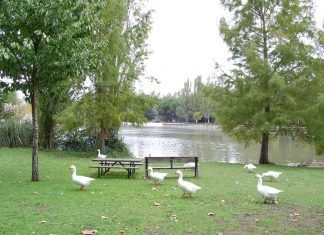 Reabre el Parque de El Soto de Móstoles Reabre el Parque de El Soto de Móstoles