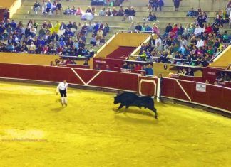 Agenda de actividades de las Fiestas de Móstoles 2022 del 10 de septiembre Agenda de actividades de las Fiestas de Móstoles 2022 del 10 de septiembre