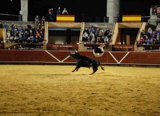 Cuándo son los eventos taurinos en las Fiestas de Móstoles Cuándo son los eventos taurinos en las Fiestas de Móstoles