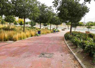 Móstoles refuerza el mantenimiento de las zonas verdes de la localidad Móstoles refuerza el mantenimiento de las zonas verdes de la localidad