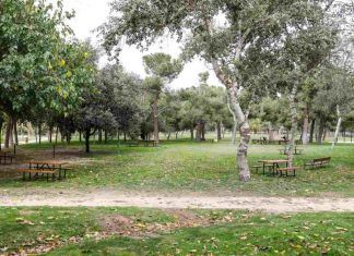 Los parques de Móstoles cuentan con nuevas mesas Los parques de Móstoles cuentan con nuevas mesas