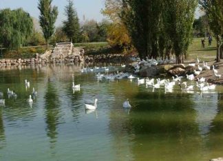 El Parque Natural El Soto de Móstoles con embarcadero y zona multiaventuras El Parque Natural El Soto de Móstoles con embarcadero y zona multiaventuras