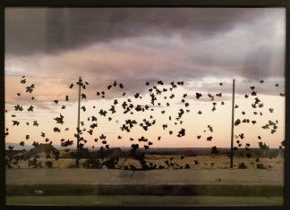 La fugacidad del paisaje capturada en una nueva exposición en Móstoles La fugacidad del paisaje capturada en una nueva exposición en Móstoles