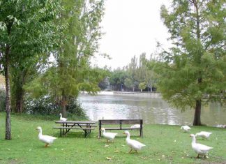 Entre el 3 y el 11 de junio Semana del Medio Ambiente de Móstoles Entre el 3 y el 11 de junio Semana del Medio Ambiente de Móstoles