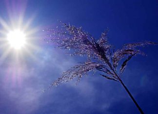 Calor asfixiante en Móstoles durante los próximos días Calor asfixiante en Móstoles durante los próximos días