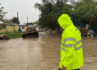 La borrasca Aline deja diversas incidencias en Móstoles La borrasca Aline deja diversas incidencias en Móstoles