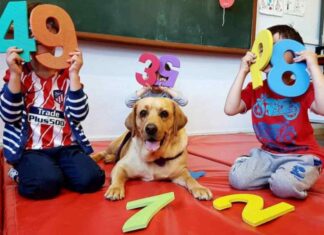 Un alumno muy especial en el aula de infantil del CEIP Alonso Cano de Móstoles Un alumno muy especial en el aula de infantil del CEIP Alonso Cano de Móstoles