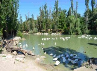 Móstoles convoca nuevas subvenciones para asociaciones medioambientales Móstoles convoca nuevas subvenciones para asociaciones medioambientales