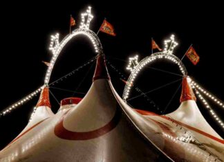 Campamentos Culturales desde el 26 de diciembre en Móstoles Campamentos Culturales desde el 26 de diciembre en Móstoles