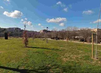 Campaña de plantación y renovación del arbolado de Móstoles Campaña de plantación y renovación del arbolado de Móstoles