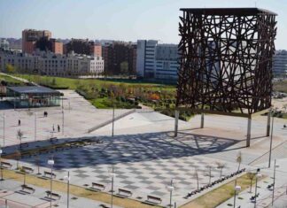 Sustitución masiva del arbolado en la calle Libra de Móstoles Sustitución masiva del arbolado en la calle Libra de Móstoles