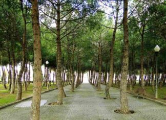 Parques cerrados en Móstoles por las condiciones meteorológicas Parques cerrados en Móstoles por las condiciones meteorológicas