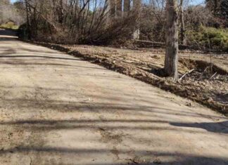 Caminando por la defensa y puesta en valor de las vías pecuarias en Móstoles Caminando por la defensa y puesta en valor de las vías pecuarias en Móstoles