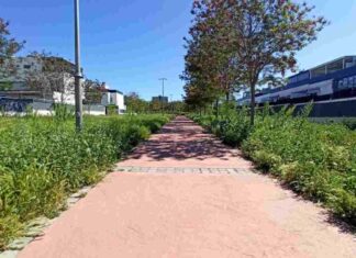 Móstoles comienza el desbroce y la siega de sus zonas verdes Móstoles comienza el desbroce y la siega de sus zonas verdes