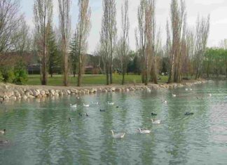 Carrera de Orientación gratuita para adolescentes en Móstoles Carrera de Orientación para adolescentes gratuita en Móstoles