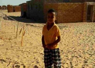 Evento solidario en favor del pueblo saharaui en Móstoles Evento solidario en favor del pueblo saharaui en Móstoles