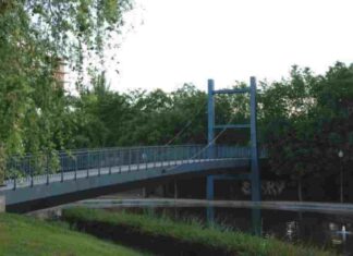 ¿Quién anda ah� Móstoles: Ovejas y Gorriones ¿Quién anda ah� Móstoles: Ovejas y Gorriones