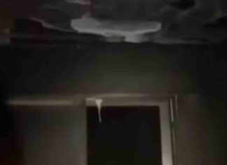 Novedades sobre el incendio de la Calle Desarrollo de Móstoles Novedades sobre el incendio de la Calle Desarrollo de Móstoles