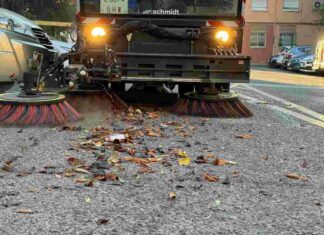 Móstoles empieza la recogida de la hoja del otoño Móstoles empieza la recogida de la hoja del otoño