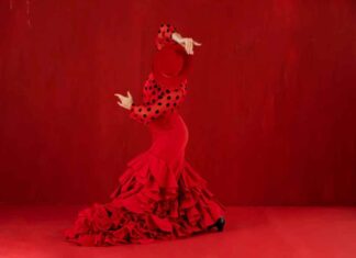 Móstoles Flamenco desde el 15 de noviembre Móstoles Flamenco desde el 15 de noviembre