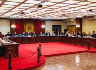 Aparcamientos disuasorios, la iniciativa aprobada en el Pleno de Móstoles Aparcamientos disuasorios, la iniciativa aprobada en el Pleno de Móstoles