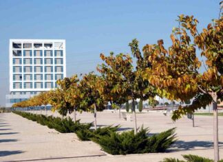 Promoviendo la salud sexual en el campus de Móstoles de la URJC Promoviendo la salud sexual en el campus de Móstoles de la URJC