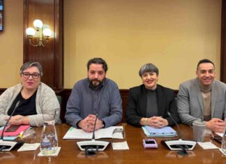 Más Madrid Móstoles impulsa una recogida de firmas por el servicio de acompañamiento a mayores Más Madrid Móstoles impulsa una recogida de firmas por el servicio de acompañamiento a mayores