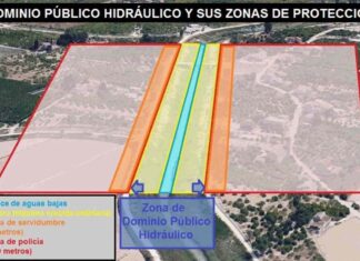 Ecologistas en Acción pide el realojo permanente de Las Sabinas Ecologistas en Acción pide el realojo permanente de Las Sabinas