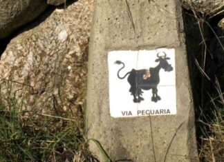 El 5 de abril Ecologistas en Acción conmemora en Móstoles el 5º Día de las Vías Pecuarias El 5 de abril Ecologistas en Acción conmemora en Móstoles el 5º Día de las Vías Pecuarias
