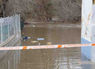 Limpiar el río Guadarrama en Móstoles Limpiar el río Guadarrama en Móstoles