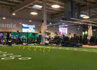 DreamFit Móstoles participará en la Semana Solidaria con WWF España DreamFit Móstoles participará en la Semana Solidaria con WWF España