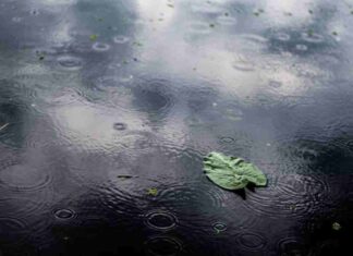 La semana arranca con lluvias y en alerta amarilla en Móstoles La semana arranca con lluvias y en alerta amarilla en Móstoles