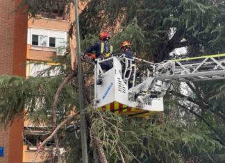 Fuertes rachas de viento protagonizan la tarde del martes en Móstoles Fuertes rachas de viento protagonizan la tarde del martes en Móstoles