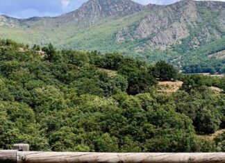 Las salidas y las rutas turísticas no se acaban para los jóvenes y las familias de Móstoles durante el otoño Las salidas y las rutas turísticas no se acaban para los jóvenes y las familias de Móstoles durante el otoño