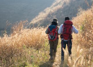 De la Bola del Mundo a los tesoros de Cuenca: Móstoles organiza rutas guiadas baratas para jóvenes y familias De la Bola del Mundo a los tesoros de Cuenca: Móstoles organiza rutas guiadas baratas para jóvenes y familias