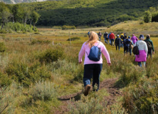 Por solo 25 euros: Móstoles ofrece un nuevo programa de viajes culturales con varias excursiones Por solo 25 euros: Móstoles ofrece un nuevo programa de viajes culturales con varias excursiones