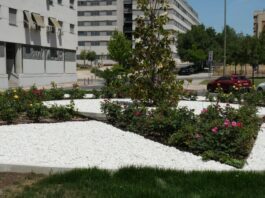 Obras de mejora en el PAU-4: Móstoles tiene un nuevo espacio verde tras la reforma integral de una rotonda Obras de mejora en el PAU-4: Móstoles tiene un nuevo espacio verde tras la reforma integral de una rotonda