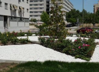 Obras de mejora en el PAU-4: Móstoles tiene un nuevo espacio verde tras la reforma integral de una rotonda Obras de mejora en el PAU-4: Móstoles tiene un nuevo espacio verde tras la reforma integral de una rotonda