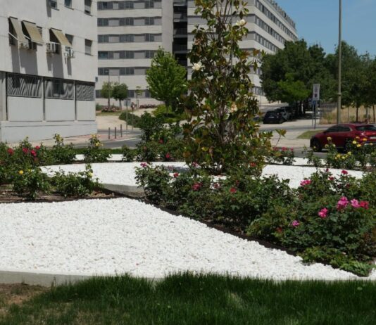 Obras de mejora en el PAU-4: Móstoles tiene un nuevo espacio verde tras la reforma integral de una rotonda Obras de mejora en el PAU-4: Móstoles tiene un nuevo espacio verde tras la reforma integral de una rotonda