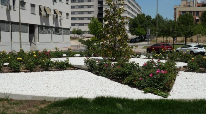 Obras de mejora en el PAU-4: Móstoles tiene un nuevo espacio verde tras la reforma integral de una rotonda Obras de mejora en el PAU-4: Móstoles tiene un nuevo espacio verde tras la reforma integral de una rotonda