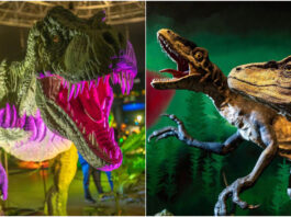 Más de 120 especies a escala real en Xanadú: la mayor exposición de dinosaurios aterriza cerca de Móstoles Más de 120 especies a escala real en Xanadú: la mayor exposición de dinosaurios aterriza cerca de Móstoles