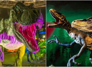 Más de 120 especies a escala real en Xanadú: la mayor exposición de dinosaurios aterriza cerca de Móstoles Más de 120 especies a escala real en Xanadú: la mayor exposición de dinosaurios aterriza cerca de Móstoles