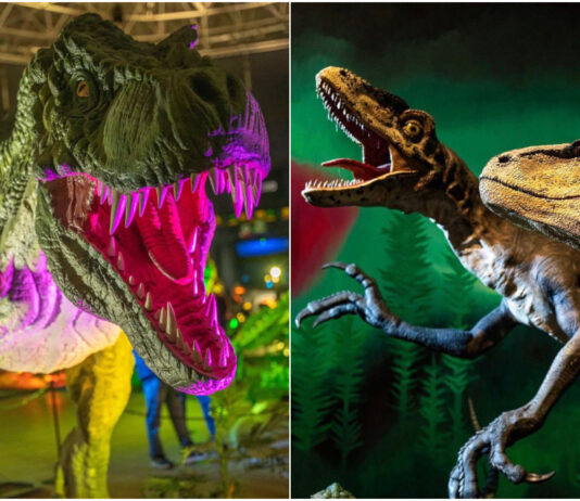 Más de 120 especies a escala real en Xanadú: la mayor exposición de dinosaurios aterriza cerca de Móstoles Más de 120 especies a escala real en Xanadú: la mayor exposición de dinosaurios aterriza cerca de Móstoles