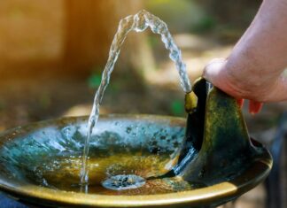 Más Madrid propone una red de fuentes de agua potable y sombras en Móstoles contra el calor Más Madrid propone una red de fuentes de agua potable y sombras en Móstoles contra el calor